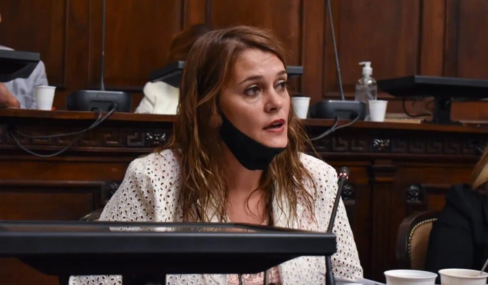 Liliana Paponet, la única mendocina en Chile liliana-paponet-congresojpg