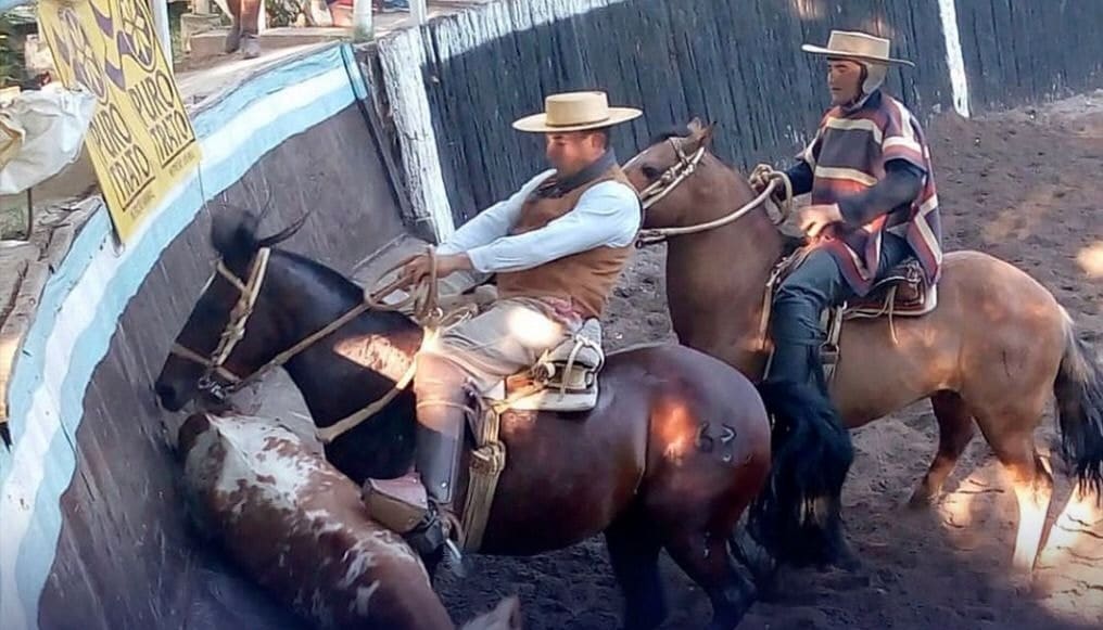 Rodeo 1