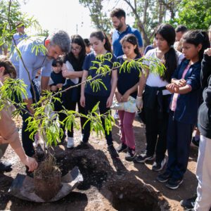 3bba28ed-4f79-aa52-785a-5b9affb237cf