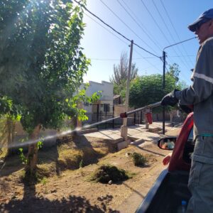 Importante desinfección en San Martin realizada por ISCAMEN y el municipio 428634339_720661773588075_7204462261446187295_n