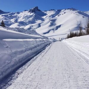 5d2cb674-cf17-4c61-a713-012532a9c8e1