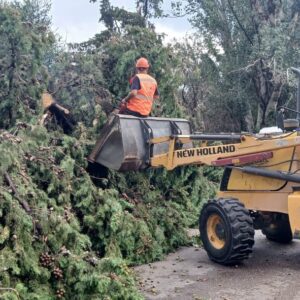 Intenso operativo municipal en JUNÍN tras la tormenta que afectó al departamento 625705464_1331407062351240_5558277478063337721_n