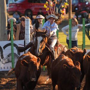 Gran fin de semana campero en JUNÍN 682094831_1404172638408015_790293177200718405_n