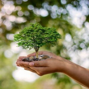 SAN MARTÍN convoca a la región para pensar juntos el futuro ambiental: foro abierto este viernes por el Día Mundial del Ambiente 714444444_1338896828431230_8192014276316553660_n