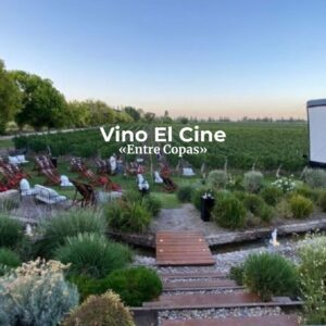 Añadir un subtítulo (1)