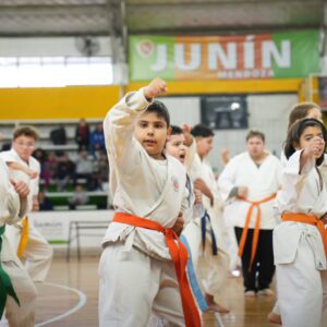 Artes Marciales 1