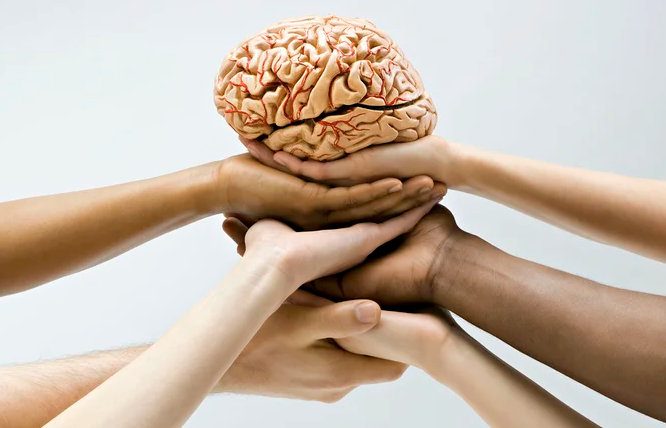 Día Mundial del Cerebro: los cuidados que merece Cerebro