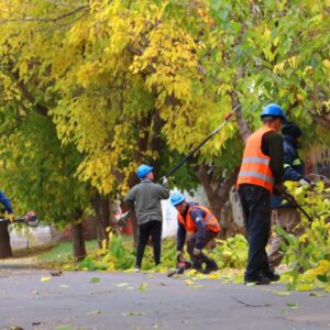 Comenzo-el-cronograma-de-Poda-por-el-departamento