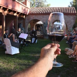 MENDOZA comienza a transitar una nueva edición de Música Clásica por los Caminos del Vino DSC_1830-700x467