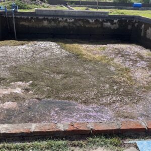 Decantador Cuadro Benegas