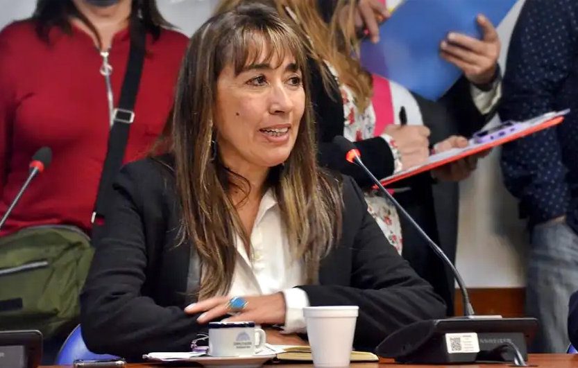 Diputada figuritas