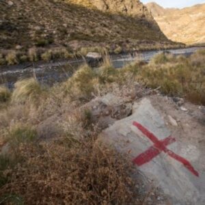 Celebra el sur: El Baqueano ya es Ley El Baqueano