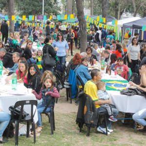 Fiesta-brasil-5-web