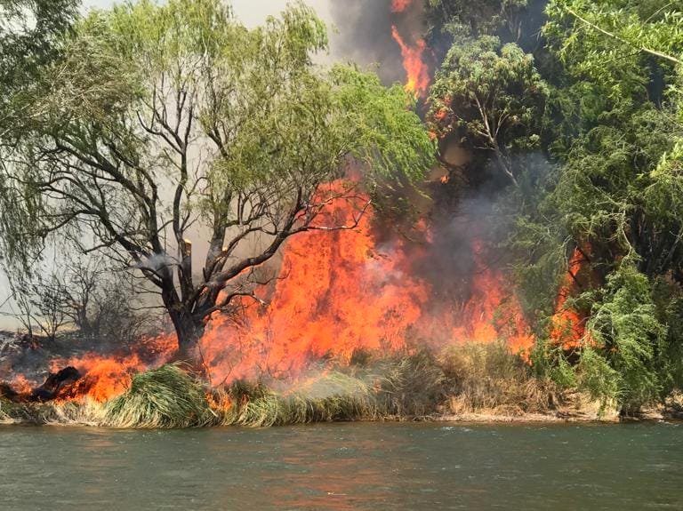 Incendio Valle Grande 1