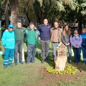 Iscamen sigue con el control biológico en espacios verdes Iscam 1