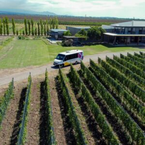 Lujan-de-Cuyo-capital-turistica-de-Mendoza-980x551