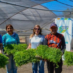 MAIPÚ acompaña a más de 200 productores con el programa “Autoproducción de semillas” Maipú Autoproducción de semillas 2