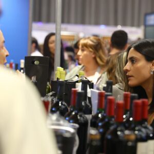 Maipú Expo Vacaciones 1