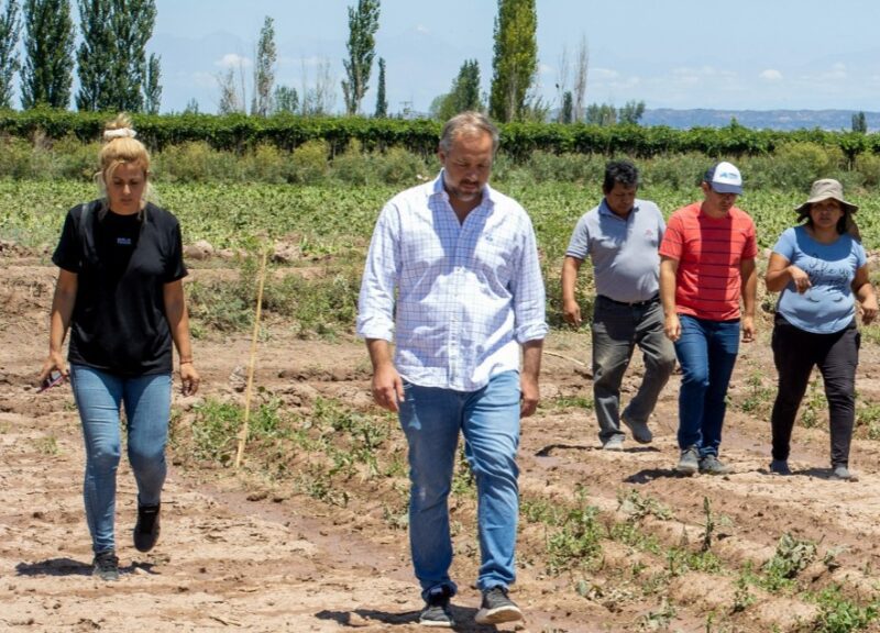 Medidas por la tormenta 2