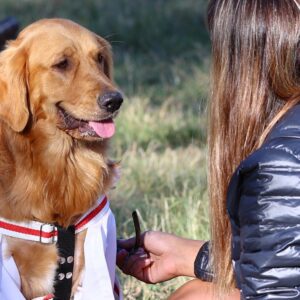 Movil-veterinario-Maipu-1