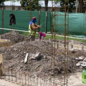 Municipio federal los Arboles -0805