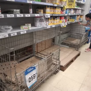 O6MFI7STBZDXZCZGROGGCRPEII