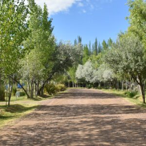 Parque-de-la-Lombardia 1