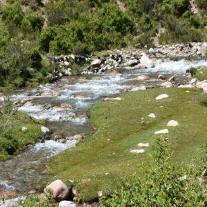 Paso-de-los-Puntanos
