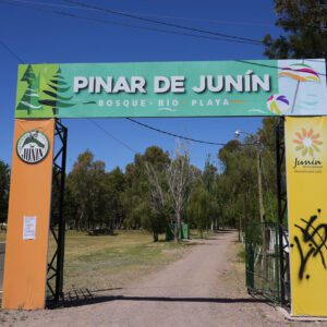 Pinar 1