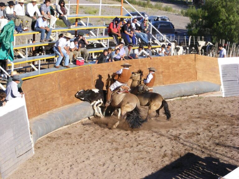 Rodeo Cuyano 1