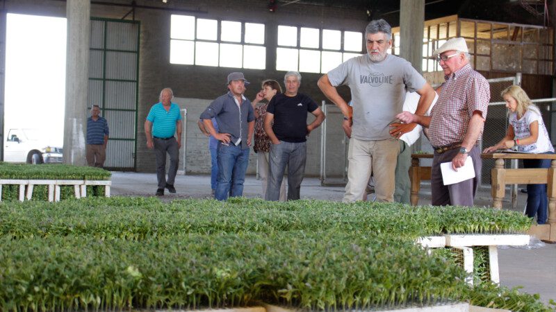 WhatsApp Image 2022-11-10 at 09.56.03 (1)