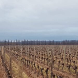 WhatsApp Image 2023-06-28 at 11.40.26