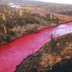 WhatsApp Image 2023-11-15 at 13.02.29