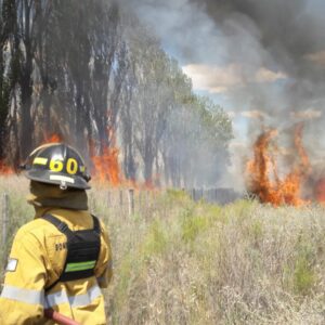 WhatsApp Image 2024-02-07 at 15.32.37