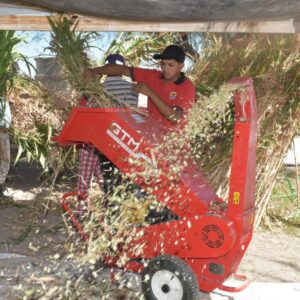 WhatsApp Image 2024-03-08 at 14.01.05