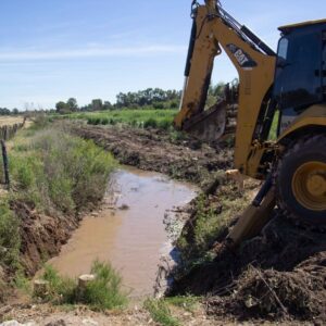 WhatsApp Image 2024-11-12 at 12.30.44 PM