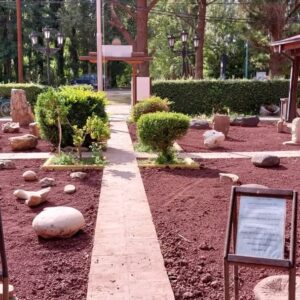 WhatsApp-Image-2025-02-13-at-15.49.28