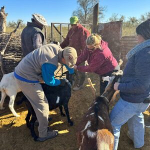 WhatsApp-Image-2025-06-24-at-21.06.07-1536x1152