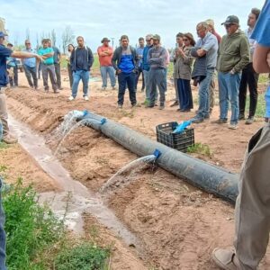 WhatsApp Image 2025-10-17 at 17.37.25 (1)