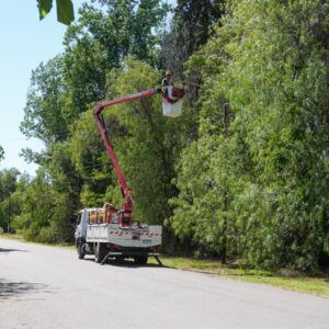 El recambio de luminarias LED comenzó en GENERAL ALVEAR, tras el anuncio del intendente Molero WhatsApp Image 2025-11-17 at 1.32.47 PM