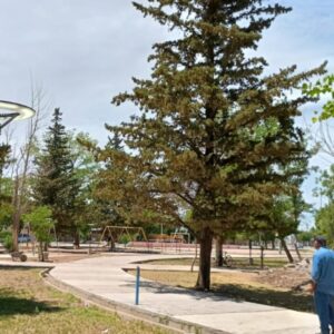 WhatsApp-Image-2025-12-23-at-13.44.26