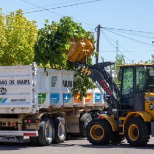 WhatsApp Image 2026-02-09 at 10.19.28 AM (3)