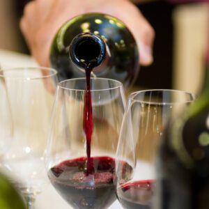 Mendoza celebra el Malbec celebrandoalmalbec1