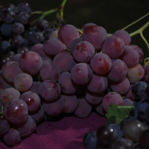 df909b93-099f-4b42-85d9-f6a2b9ae5bf9-1024×683