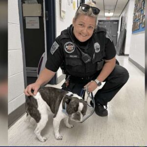 Sin corazón: Abandonó a su perro en el aeropuerto porque no podía llevarlo en el avión f58456a6-8d52-48e9-9db3-abc357f7967a