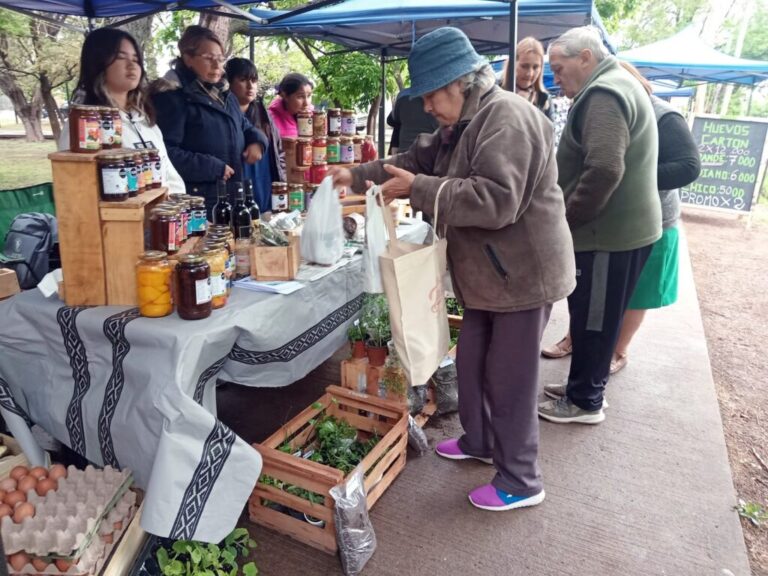 Una vecina compra en el puesto de la escuela en la Feria Franca