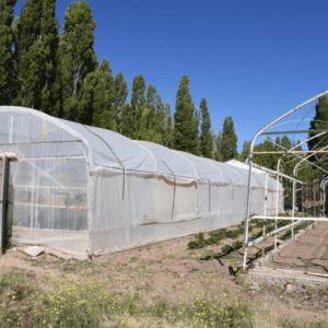 imagen_2024-03-15_131611528