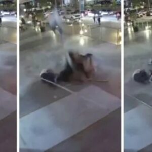 mexico.jpg_1756841869 (1)