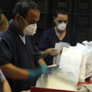 ProMendoza y una apuesta que involucra directamente a Iscamen mosca-del-mediterraneo-3jpg