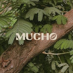 SUNSET BLENDS fusionó lo mejor del café y el vino en un ambiente espectacular mucho-cafe